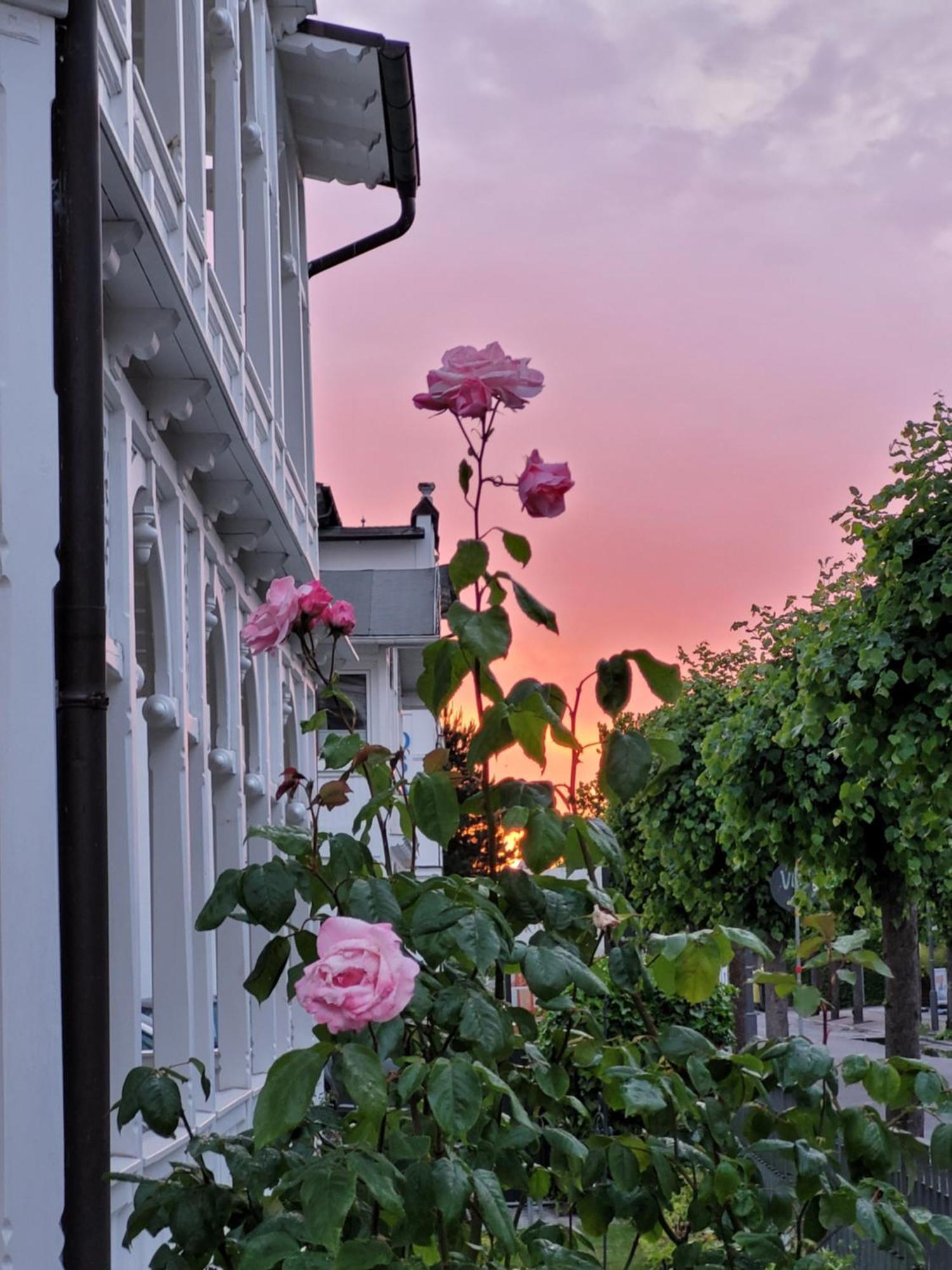 Hotel Villa Meeresgruss บินซ์ ภายนอก รูปภาพ
